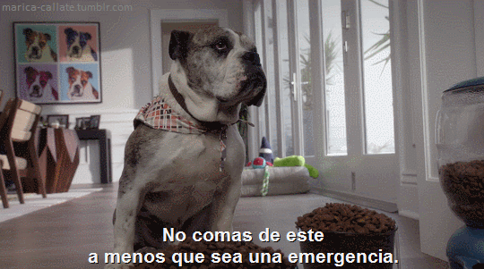 marica-callate:  The Good Place XD