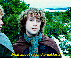 draconiforss:I don’t think he knows about second breakfast, Pip.