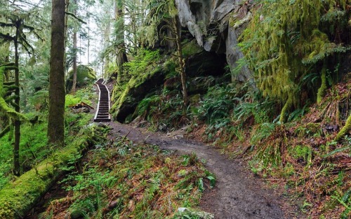 itakephotosofallthethings:Somewhere… I Wanna Go There With YouMiddle Fork Snoqualmie Trail / North B