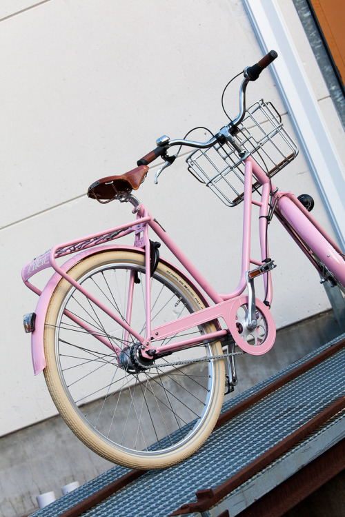 avantum:  Pilen Pink