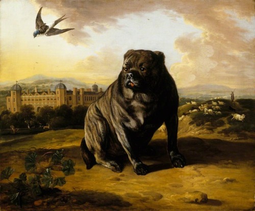 A Dutch Mastiff (called Old Vertue) with Dunham Massey in the background, 1700 by Jan Wyck (Dutch, 1