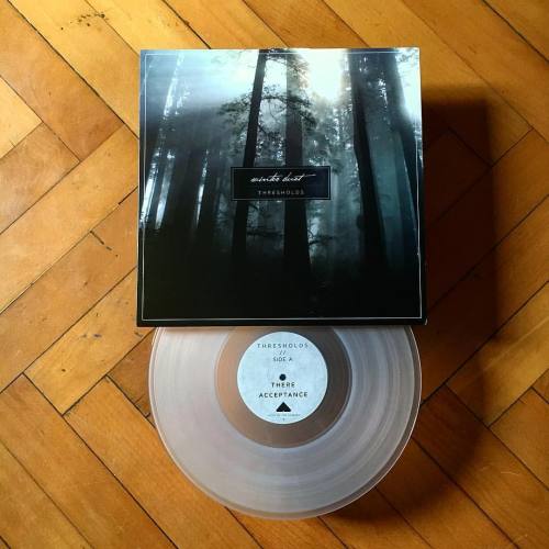 Winter Dust - Thresholds | 12" transparent vinyl