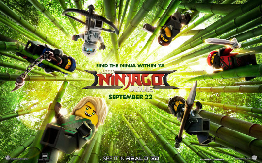 Ninja Guy — LEGO NINJAGO MOVIE | NINJAGO Language...