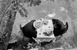 hauntedbystorytelling:René BURRI :: Garden restaurant near Tehran, Iran