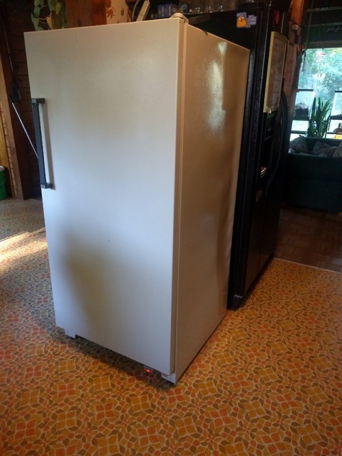 ratfarm:Picked up this old freezer on the side of the road (along with a fridge) last summer and dec