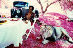 brandonousley:  David Ruffin, photographed by Jim Britt (1975).