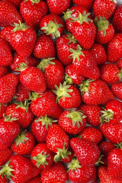 dolcies:  look at these perfect strawberries  
