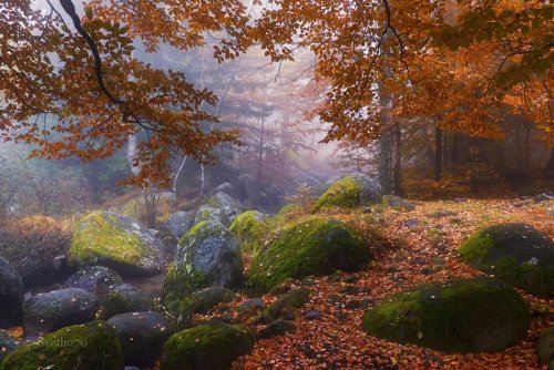 SvetoslavBulgaria / Vitosha