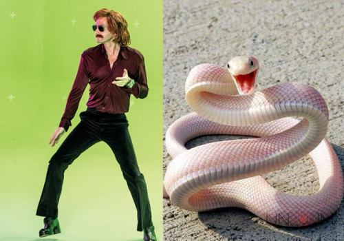 Porn photo fuckyeahgoodomens:The snek twins compilation