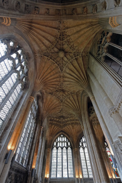scavengedluxury:  Peterborough Cathedral.