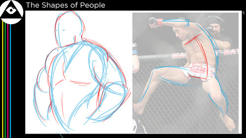 Drawing the Body (It's all in the proportions!)