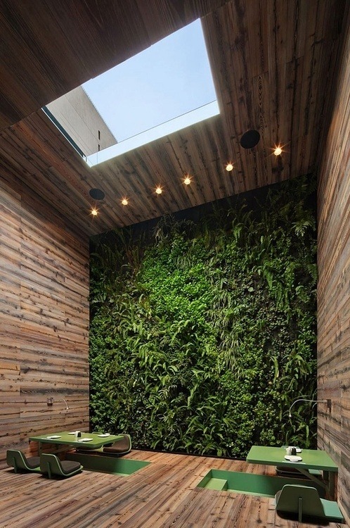eclecticpandas:  amazing wall gardens 