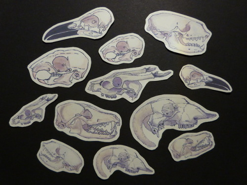 I re-stocked skull stickers in my etsy shop, but they’re selling fast! I should be making more soon 