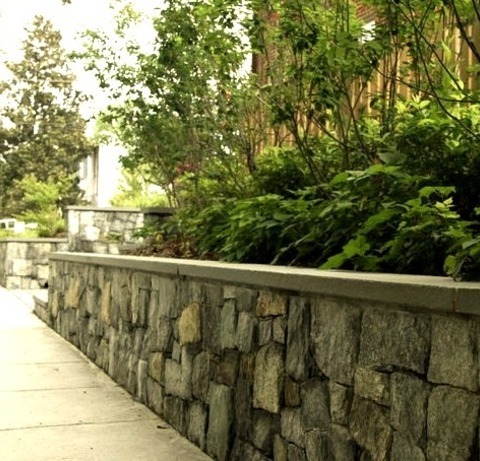 Driveway In DC Metro