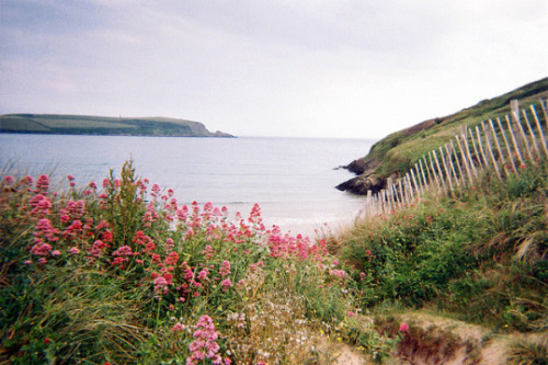 travelbinge: By Laura DempseyTrebetherick, Cornwall, England