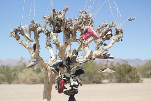 East Jesus, Salvation Mtn, Slab City @ Salton Sea, Niland, California.