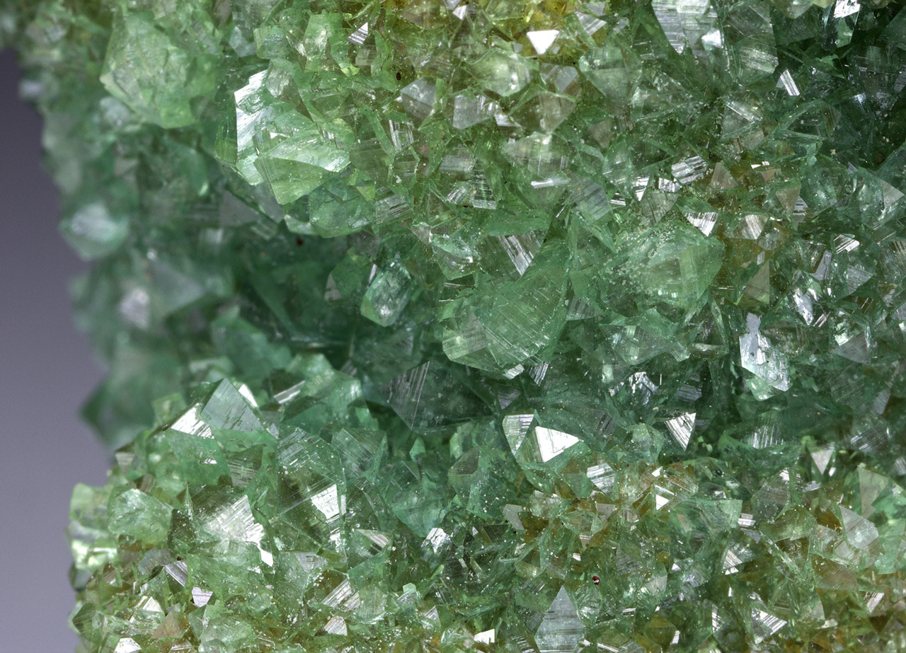 fuckyeahmineralogy:  Adamite; Ojuela Mine, Durango, Mexico 