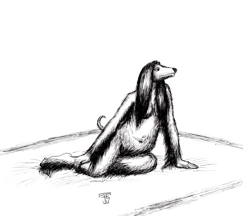 Pregananant CanineWas practicing drawing