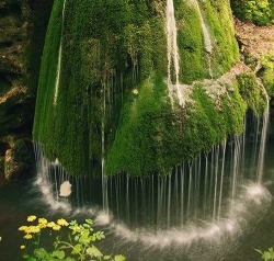 chris9076:  Moss Waterfall, Romania 