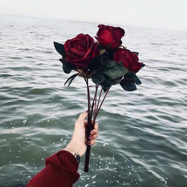 زهره Explore Tumblr Posts And Blogs Tumgir
