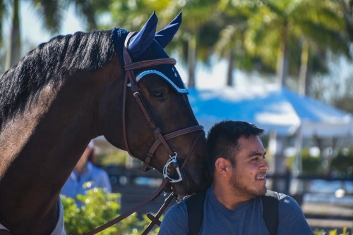 philippaerts-equestrian:  At WEF with the groom ❤️