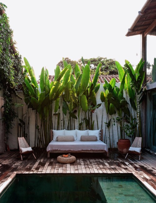 cabbagerose:  the escape home of jan and ronnie, brazil via: clairemollison 