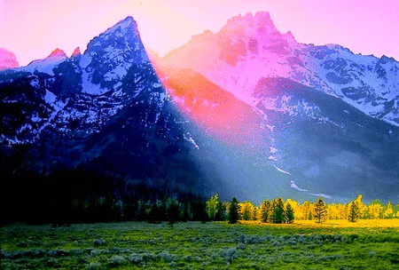 gabtheairbag:  trip