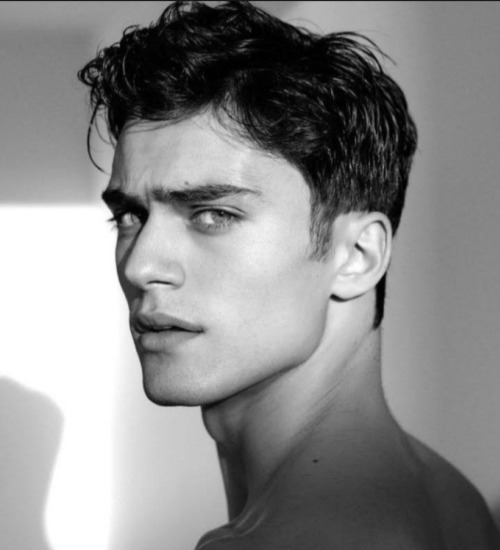 My ACOTAR Fancast- Inner Circle