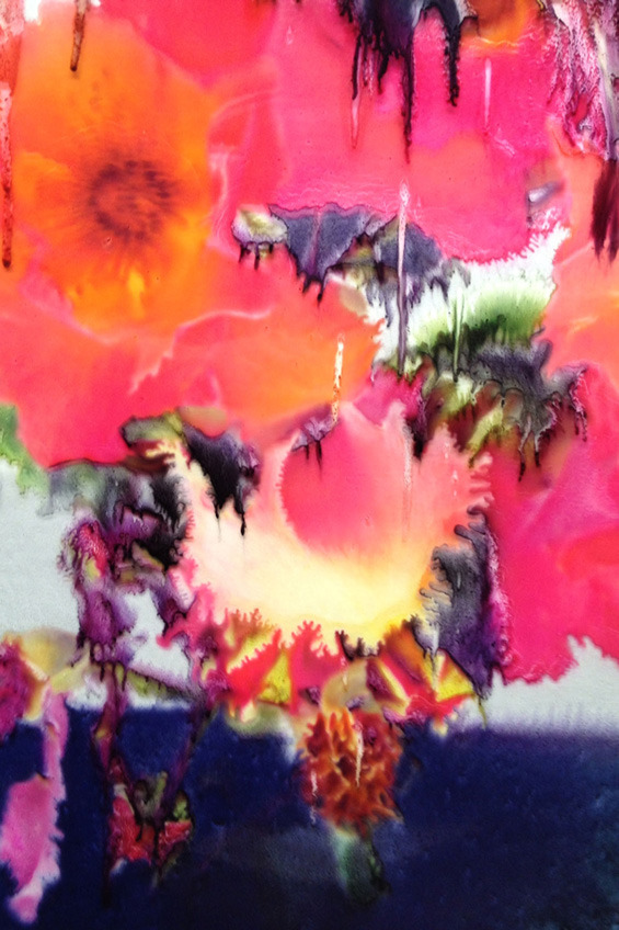 gaksdesigns:  Photographer Nick Knight’s Flora