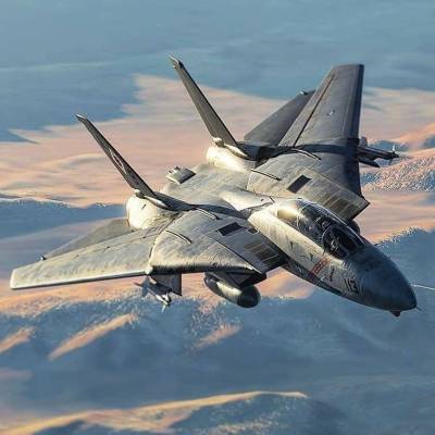 arrs25:Beautiful wonderful Tomcats!Grumman F14 TomcatThe gifs are from DCS