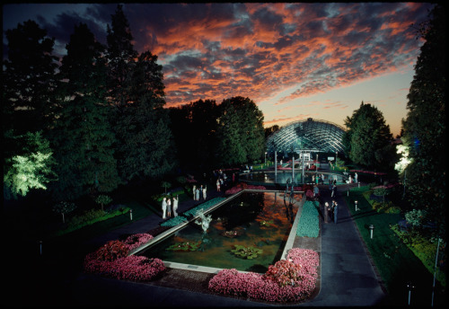 A reception is held at the Missouri Botanical Gardens in St. Louis, August 1990.Photograph by James 