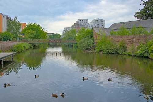 A morning walk along l'Ill river in Rennes