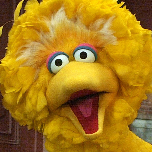 Most Upsetting Answers From Big Bird’s Reddit AMAWell, there goes the rest of our childhood innocence.