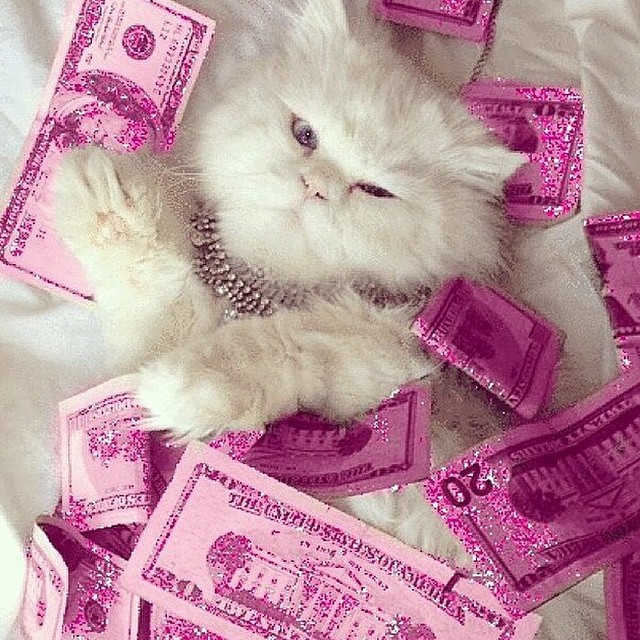 yung-lilo:  shopjeen:  basically  ✨💖💸 ghetto goddess 💸💖✨ 
