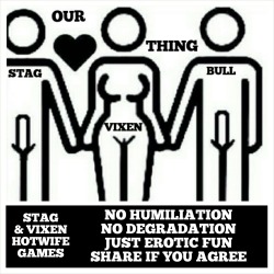 Loving Hotwife and STAG
