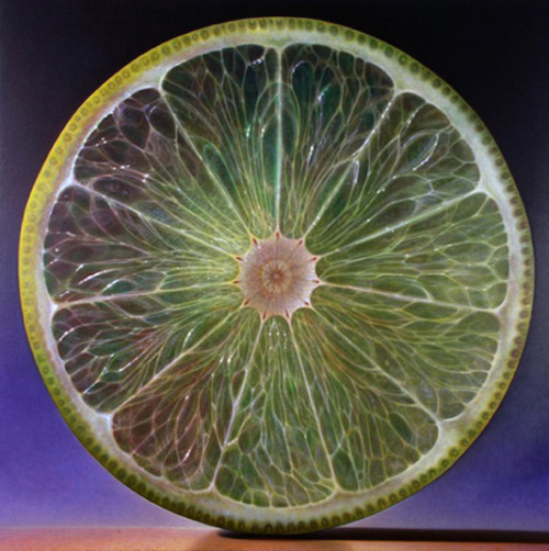 unicorn-meat-is-too-mainstream:  Dennis Wojtkiewicz is best known for his exploration of the “sensitive nature of time” in his large-scale oil paintings of fruits and flowers. 