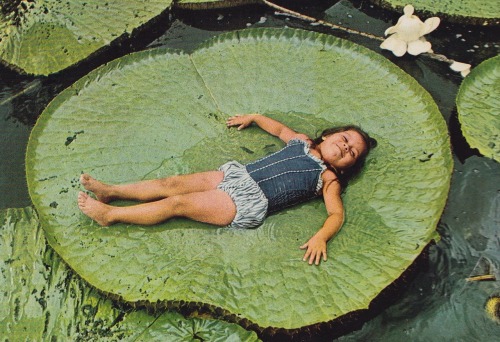 vintagenatgeographic:Exploring the Amazon - National Geographic, 1979