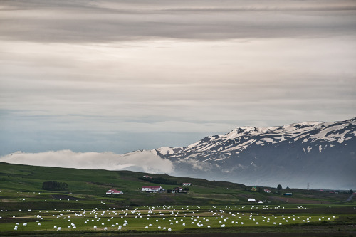 avaluk:  Norðurland eystra, Ísland, July 2011More IcelandCederik LeeuweTumblr | Facebook 