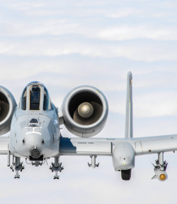 blkfivedelta:  robotpignet:  A-10  A-10 always deserves to be reblogged. 