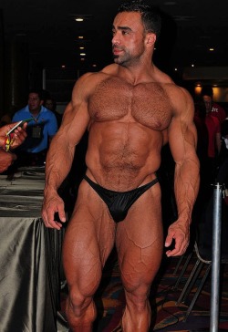 glorious9er:  Sizzling hot! Got it all: face, symmetry, fur and well-proportioned muscles   Name? PLS!!!