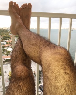 doublelinebrian:  Nice view! Great fur