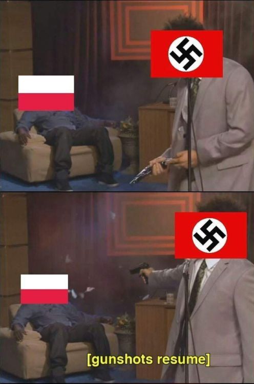 This meme is fantastic, I love it.Stand tall and proud Poland, don’t let Brussels rule you like the rest of Europe. Love from Sweden… also sry about the Potop Szwedzki, but now you got some great Sabaton songs so we’re even right?