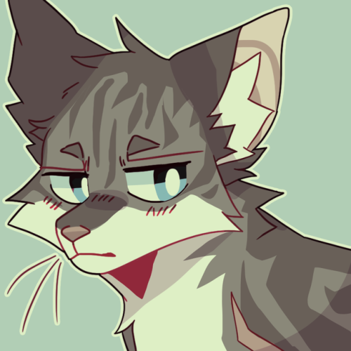 fuwujin-yumi: i haven’t drawn jayfeather in forever, i missed drawing him ;;