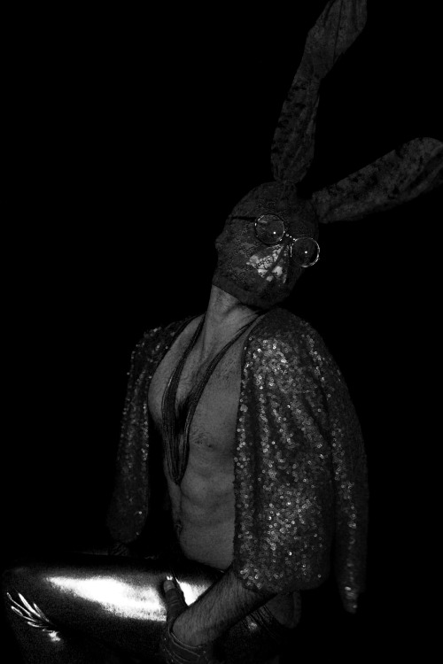 HARE DON’T CARE - ALEXANDER GUERRA 2013