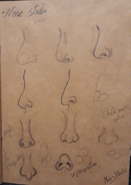 Life Drawing