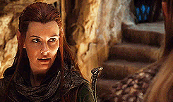  desolation of smaug + elves     