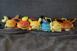 pokemon:  Is it nap time yet?  
