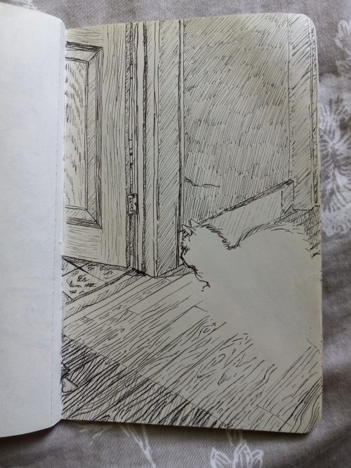 Some Finished And Unfinished Work From My Lil Moleskin