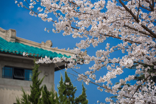 fuckyeahchinesegarden:Wuhan, China. Photo by 江洲子 