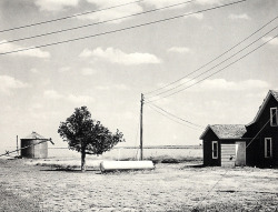 untrustyou:  Robert Adams